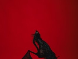 Watch Sexymaya22´s Live Show on BongaCams