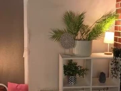 Watch carlytarshis´s Live Show on Chaturbate