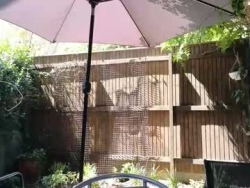 Watch topsywilde´s Live Show on Chaturbate