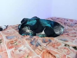 Watch tessa_evanss´s Live Show on Chaturbate